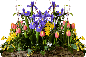 Vibrant Spring Flower Display PNG