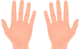 Open Hands of Connection and Expression PNG