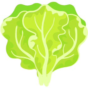 Fresh and Colorful Quinoa Salad Delight PNG