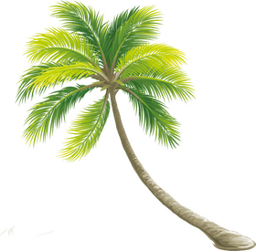 Swaying Tropical Paradise Tree PNG