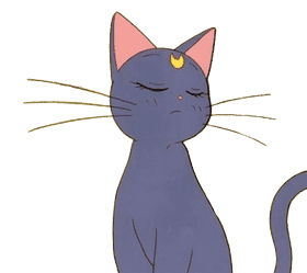 Serene Moonlit Cat of Dreams PNG