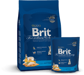 Premium Quality Cat Food for Healthy Kittens PNG