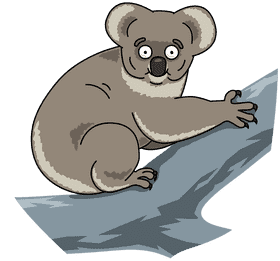 Playful Koala Bear on a Tree Branch PNG