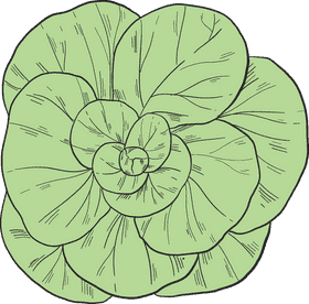 Vibrant Quinoa Salad with Fresh Greens PNG