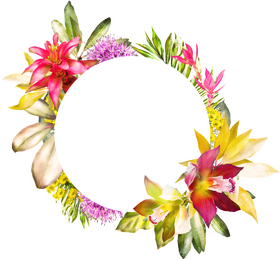 Blossoming Circle of Colorful Flowers PNG