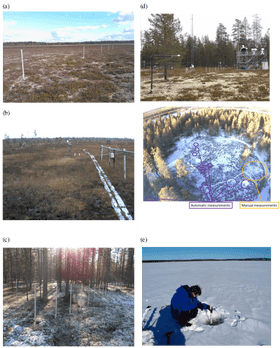 Snowy Landscape A Study of Seasonal Changes PNG