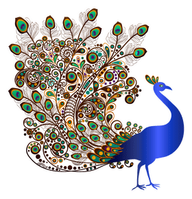 Whimsical Peacock Display of Colors PNG