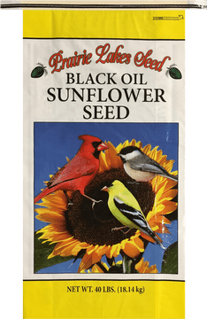 Colorful Birds Attracted to Sunflower Seeds PNG