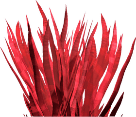 Vibrant Red Grass of Imagination PNG