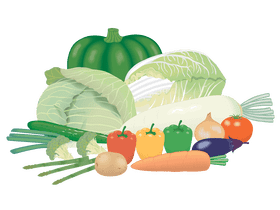 Vibrant Vegetable Garden Harvest Display PNG