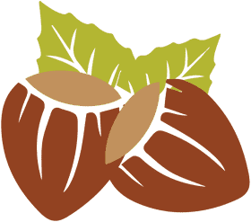 Hazelnut Delight with Leafy Accompaniments PNG