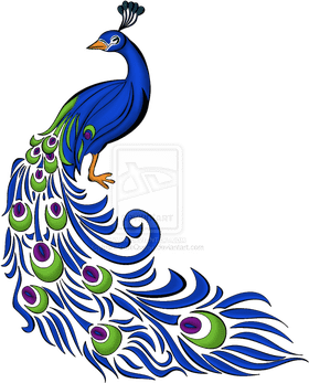 Radiant Peacock in Full Bloom PNG