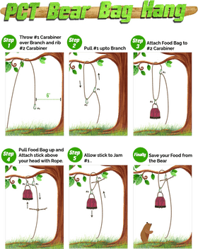 Teacher's Guide to Bear Bag Hanging Safety PNG