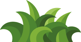 Lush Green Grass Meadow Design PNG