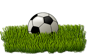 Soccer Ball on Lush Green Grass PNG