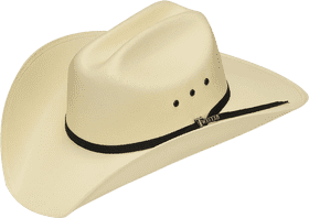 Twister's Classic Cowboy Hat PNG