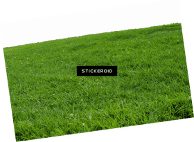 Vibrant Green Grass Landscape PNG