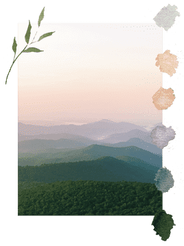 Serene Morning Mountain Vista PNG