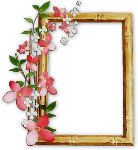 Charming Floral Picture Frame Design PNG