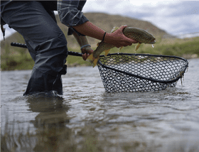 Mastering the Art of Fishing Catching Brown Trout PNG