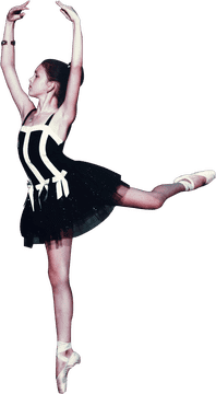 Elegant Dance of Graceful Balance PNG