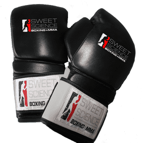 Sweet Science Premium Boxing Gloves for MMA Training PNG