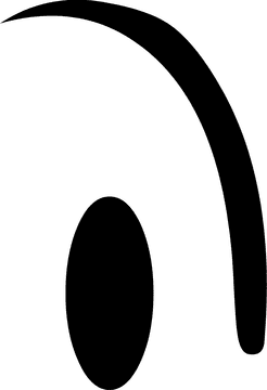 Eyes of Insight and Perception PNG