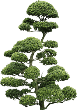 Cloud Computing Cultivating Growth and Innovation PNG