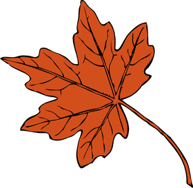 Autumn's Vibrant Orange Leaf PNG