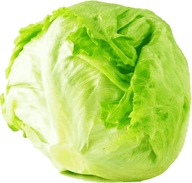 Iceberg Garden Fresh Lettuce Delight PNG