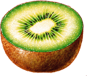 Deliciously Refreshing Kiwi Fruit Delight PNG