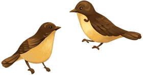Playful Brown and Yellow Bird Companions PNG