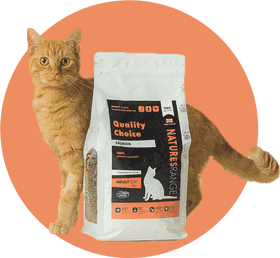 Salmon Delight Premium Cat Food for Happy Cats PNG