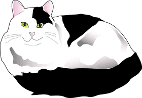 Mystical Cat of the Enchanted Night PNG