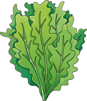 Vibrant Quinoa Salad with Fresh Greens PNG