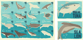 Underwater Wonders Postcard Collection PNG