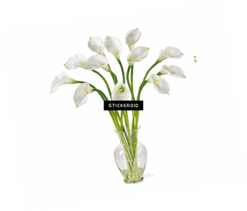 Elegant White Flower Arrangement in a Vase PNG