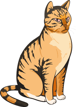 Majestic Cat with Striking Features PNG