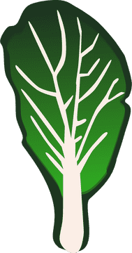 Vibrant Vegetable Garden of Fresh Greens PNG