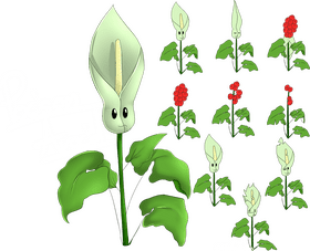 Poison Plants Beware and Avoid! PNG