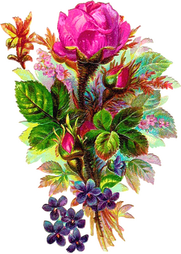 Vibrant Bouquet of Colorful Flowers PNG