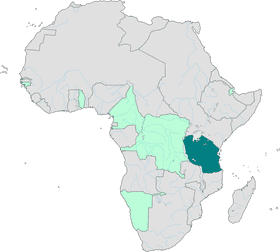 Ancient Forests of East Africa PNG