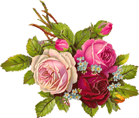 Digital Nomad's Floral Journey PNG