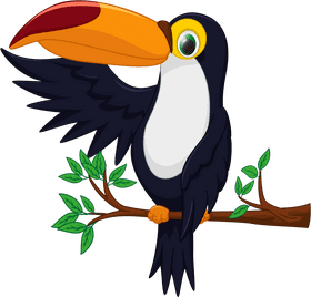 Colorful Bird of the Tropical Rainforest PNG