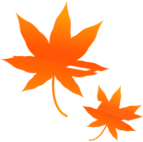 Vibrant Autumn Hues Leaf Elegance PNG