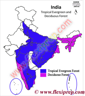 USA Map A Comprehensive Overview of Geographic Features PNG