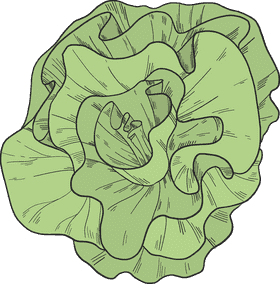 Fresh Quinoa Salad with Crisp Greens PNG