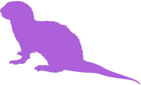 River's Playful Shadow The Otter's Domain PNG