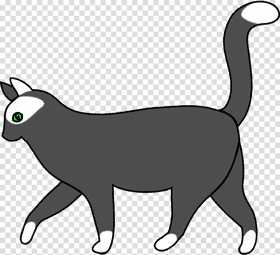 Curious Cat With Enchanting Green Eyes PNG