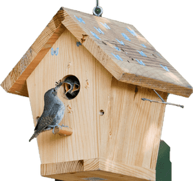 Charming Birdhouse with a Curious Bird PNG